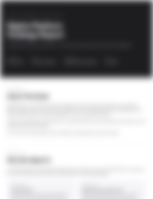 Findings Report